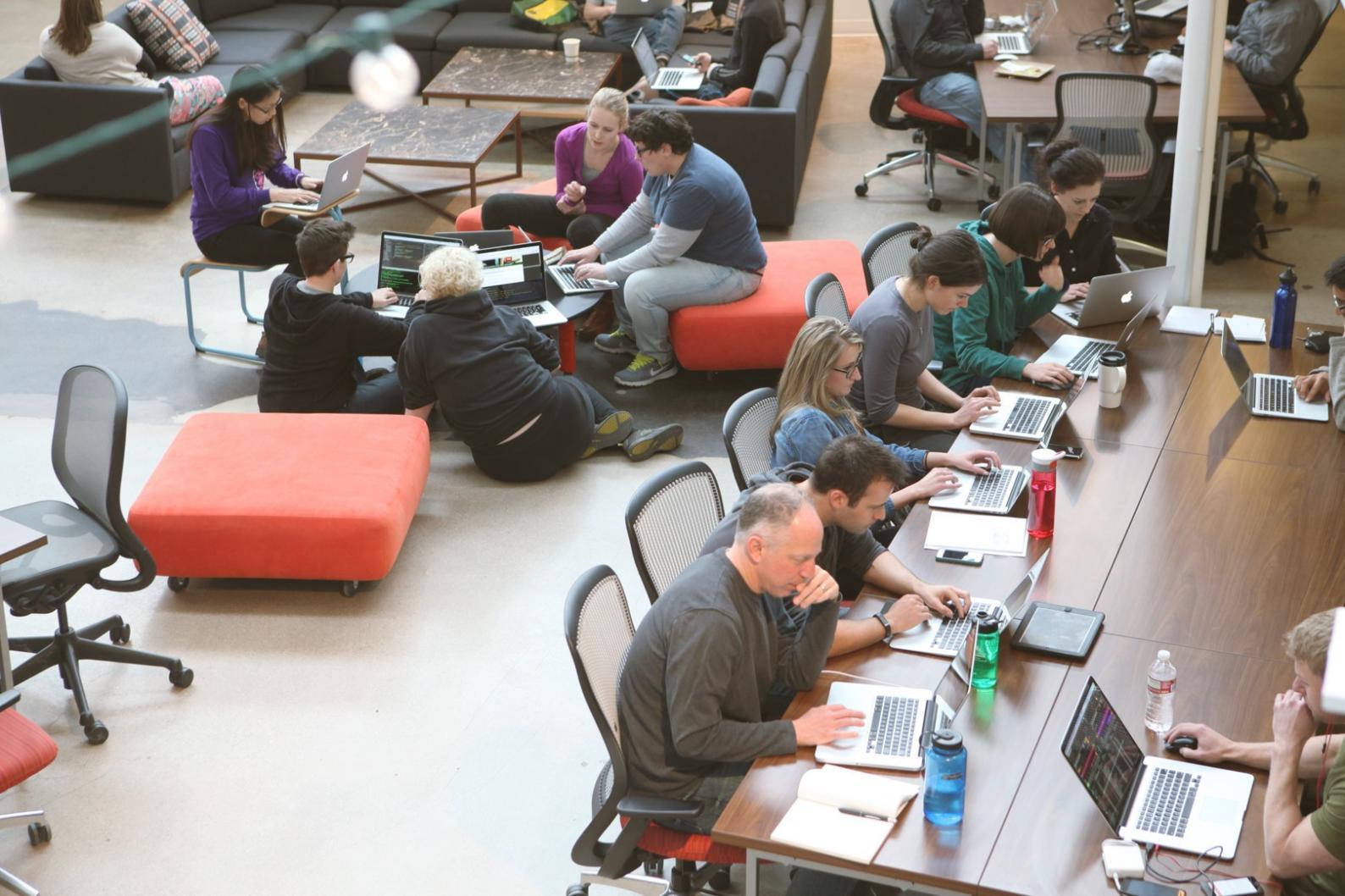 Analyse von SEO-Metriken und Content-Performance